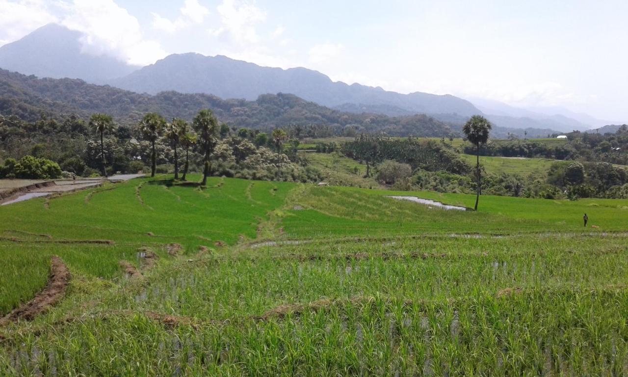 Kristian Homestay Bajawa Exterior photo